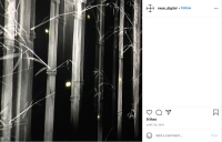 https://neon-archive.com/files/gimgs/th-246_Untitled-1_0022_20180630-Instagram-Screenshot_001_png.jpg