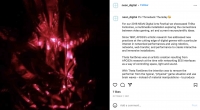 https://neon-archive.com/files/gimgs/th-594_20211007-Instagram-Screenshot_001.jpg